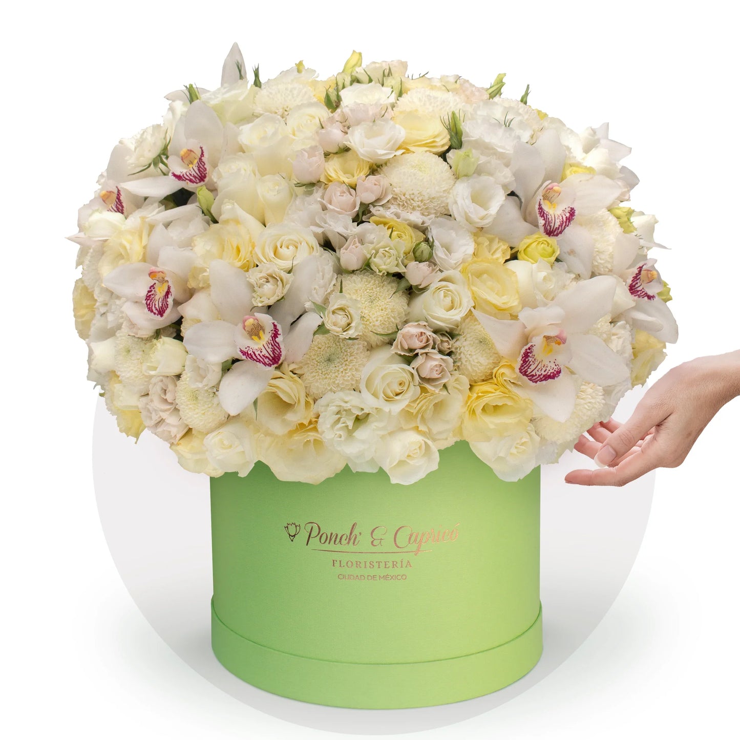 Flores en Caja | Arreglos de rosas blancas y orquídeas | Envio gratis en CDMX