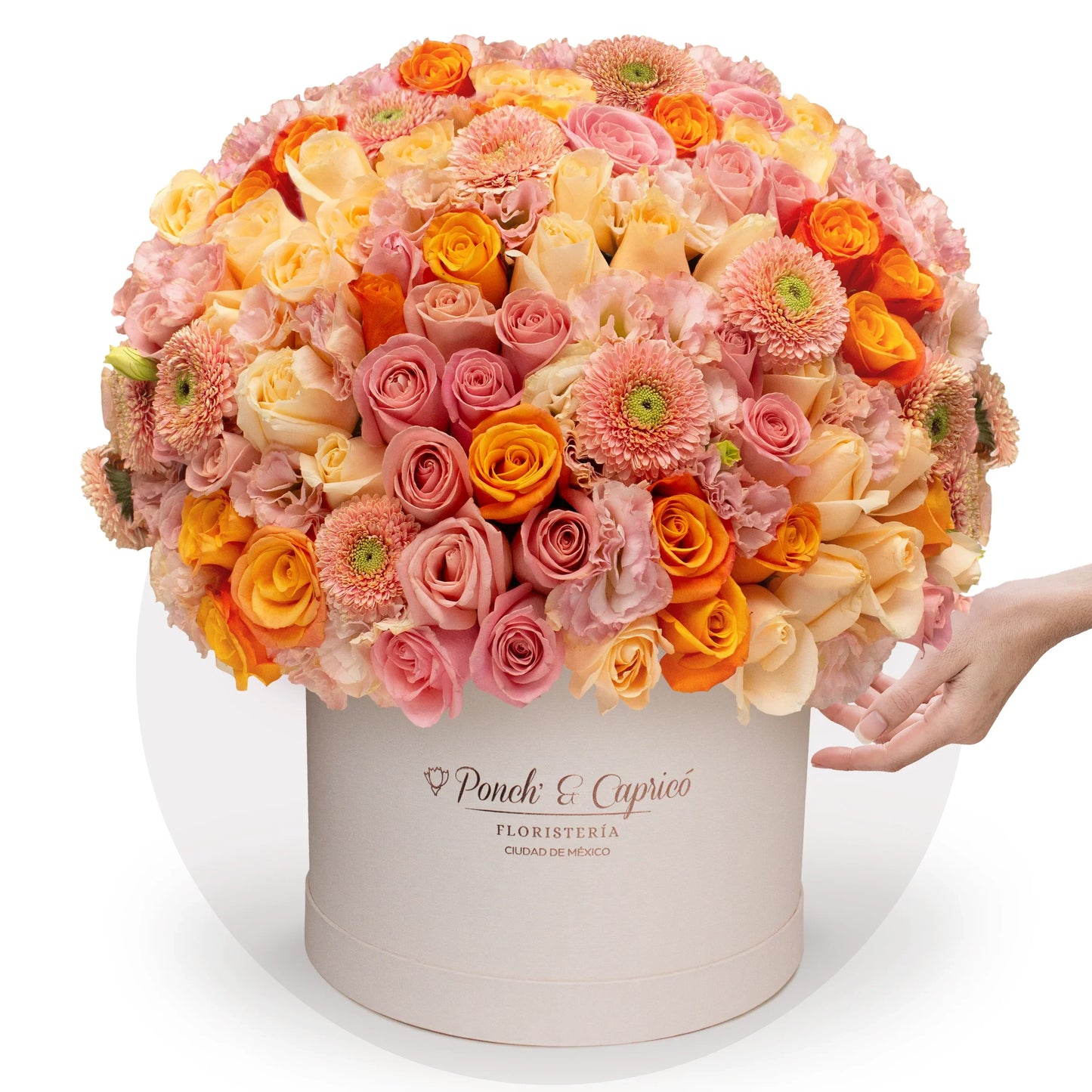 Envia flores naranja y rosadas en CDMX. Envio gratis.
Florerias cerca de mi.