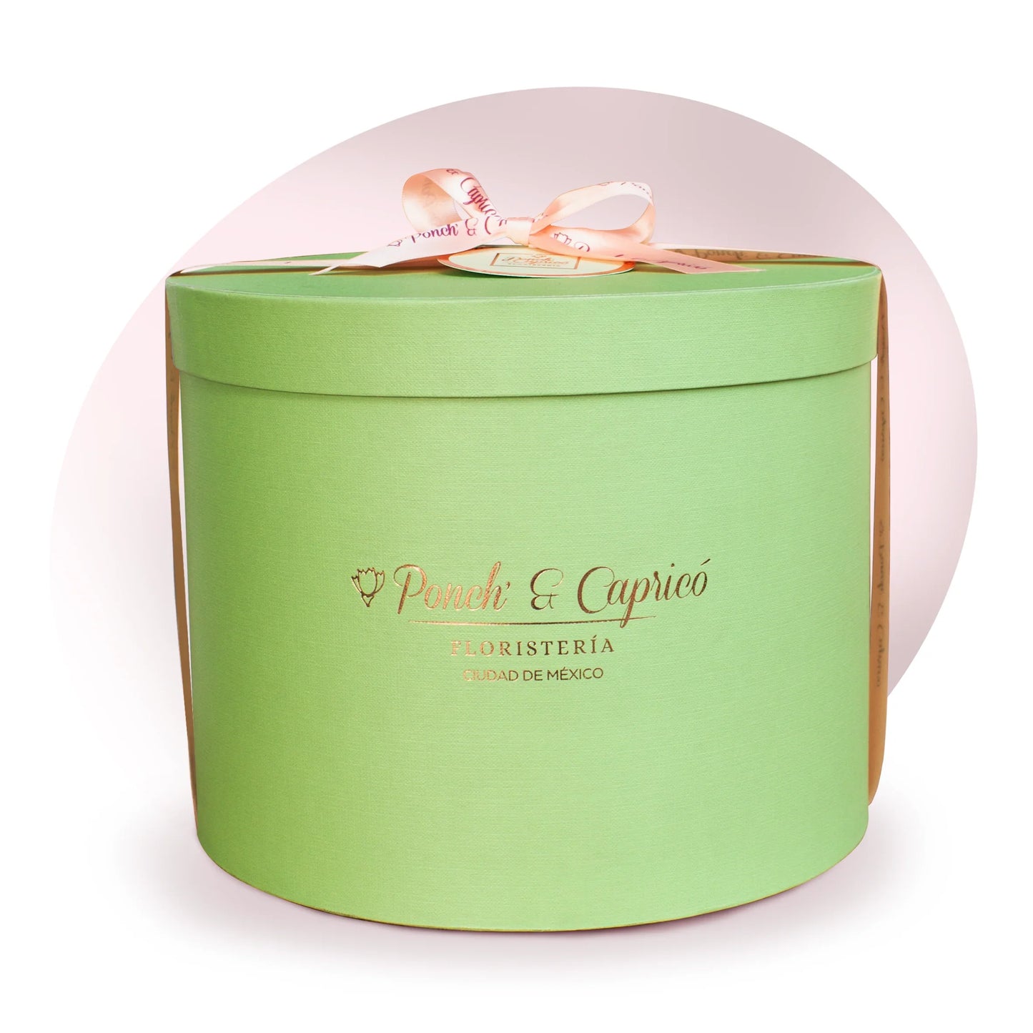 Rosas en caja | Flores en caja | Flores a domicilio