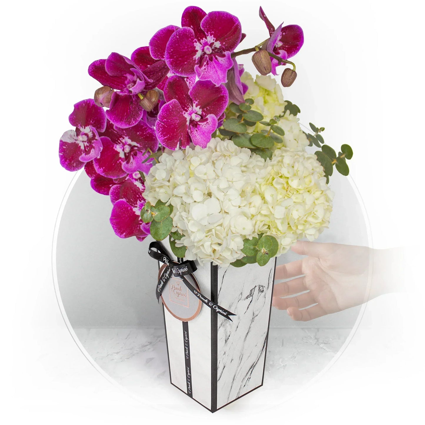 Аранжировка орхидеи и Hortensias с Busky Husky Dog Pucked