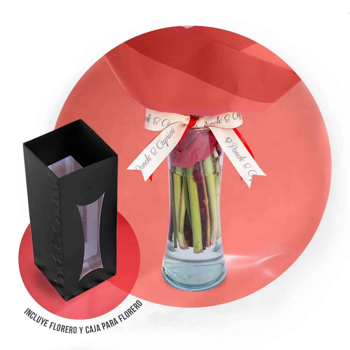 Ramo de Tulipanes Rojos, Safari y Dólar Rojo (Preservado) -PRAM055-