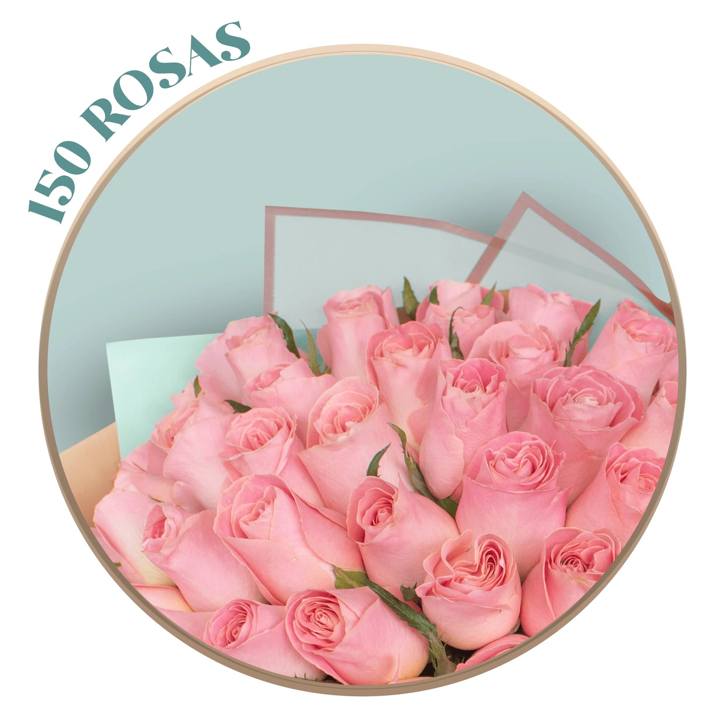 50, 100 o 150 Rosas Rosadas en Ramillete