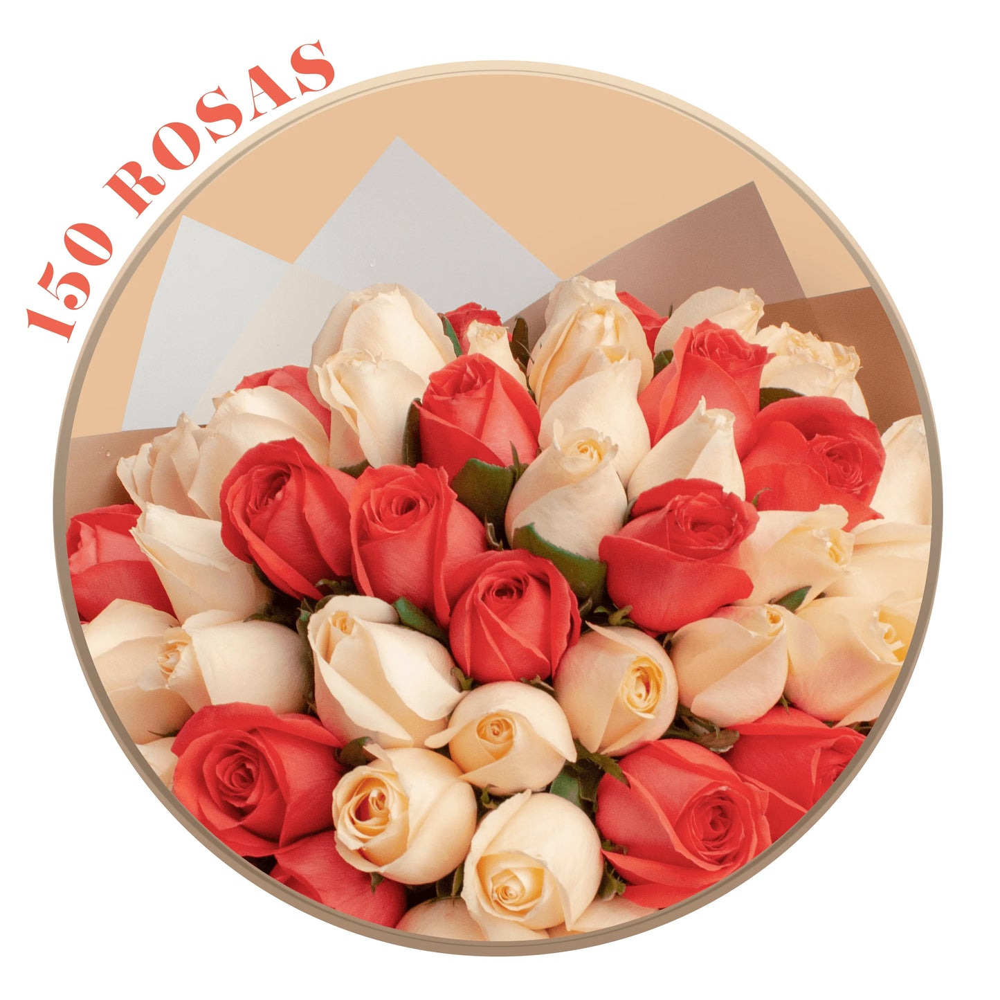 Ramo de Rosas Beige (Peach Avalanche) y Coral, presentación de 50, 100 o 150 rosas