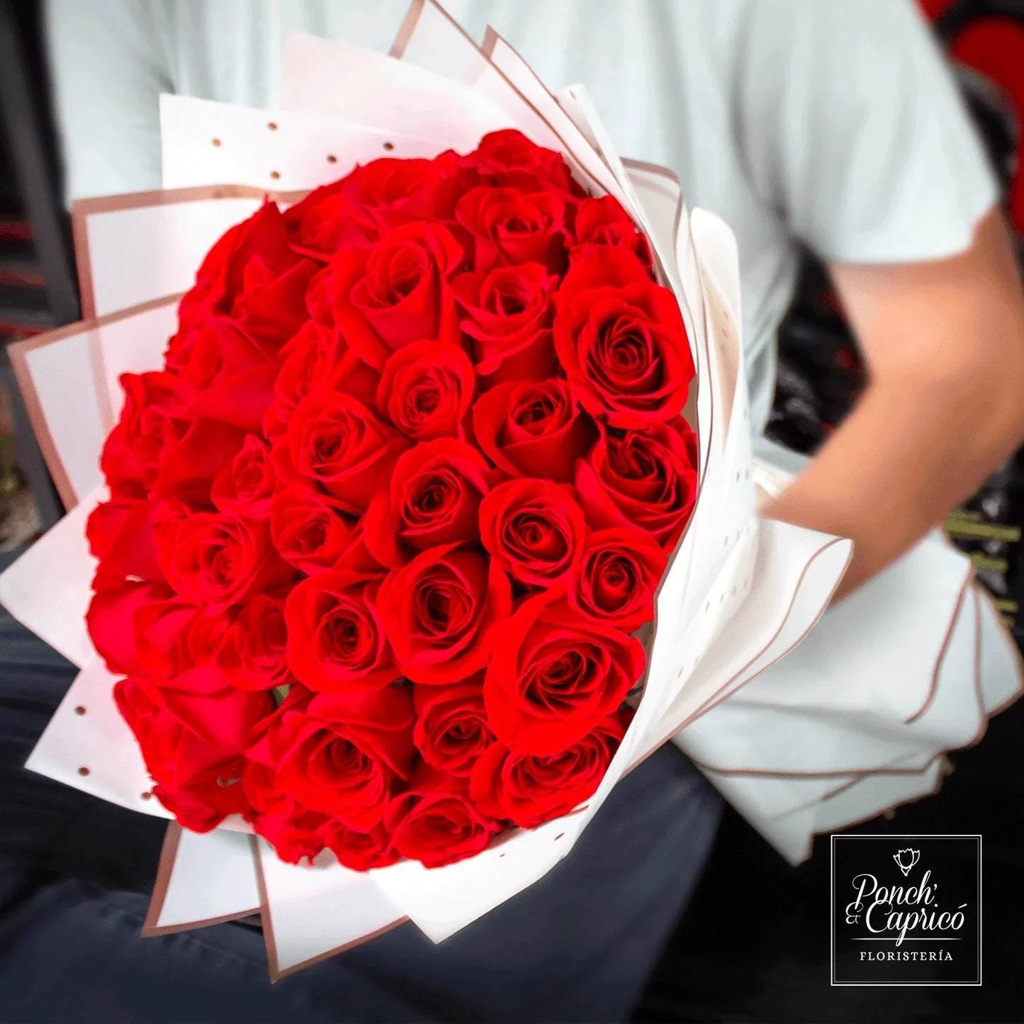 50, 100 o 150 Rosas Rojas en ramillete con papel blanco Ponch y Caprico