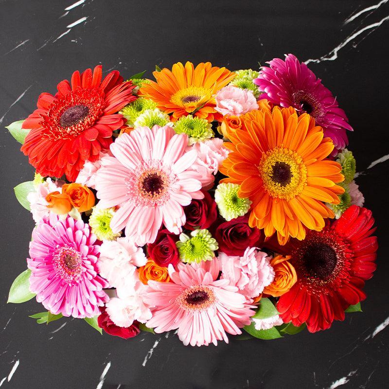 彩色非洲菊和迷你玫瑰花篮式盒子 -PCAN016-