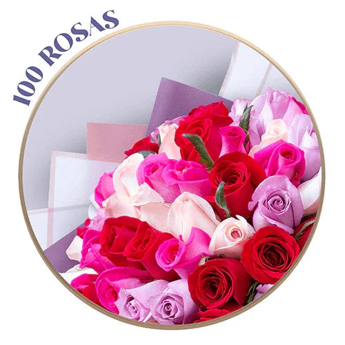 Bouquet de roses violettes (Lila), rose pâle, magenta et rouge, présentation de 24, 50, 100 ou 150 roses