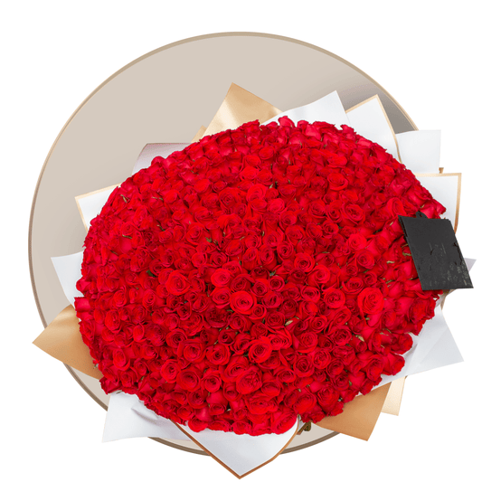 Ramo de 500 Rosas Rojas