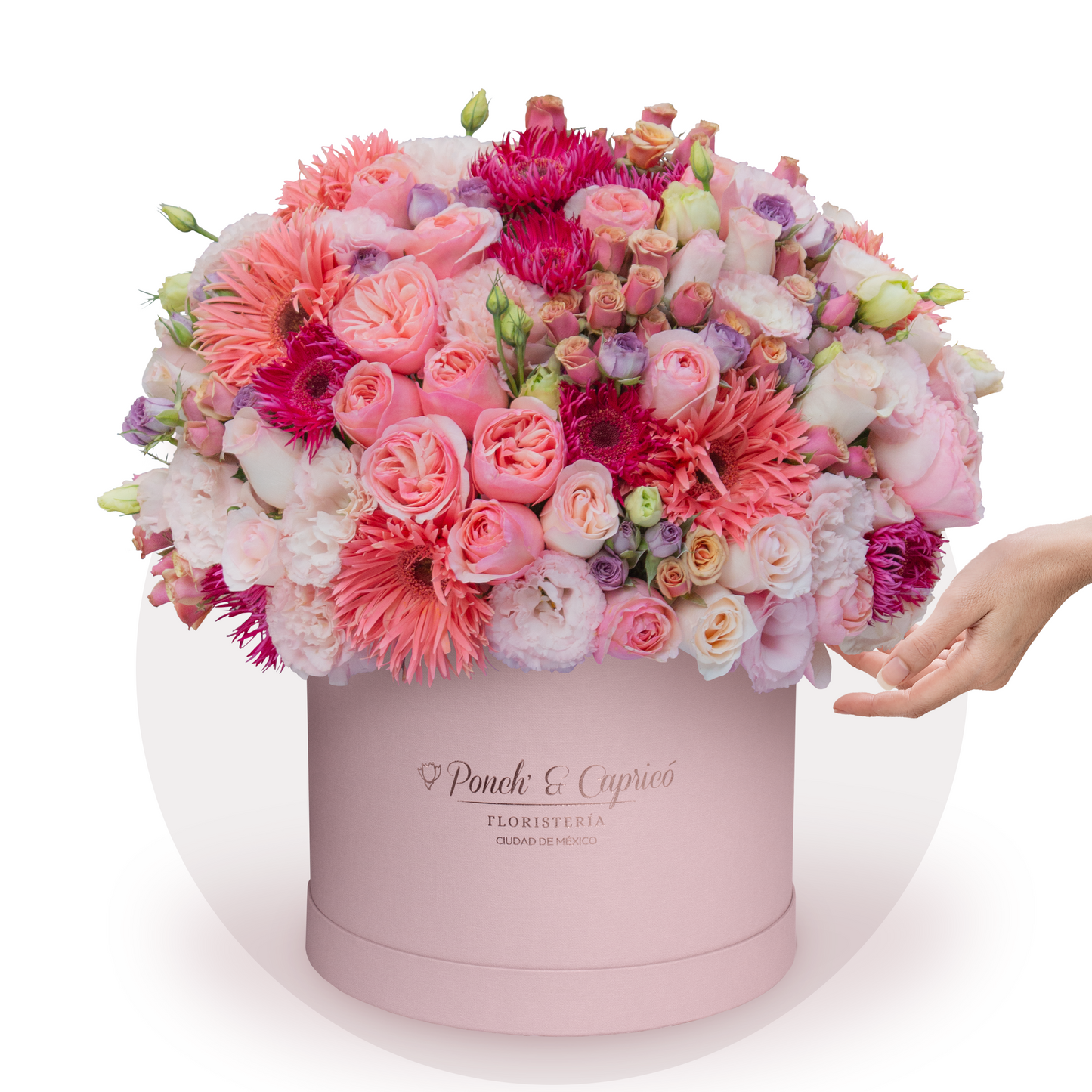 Flores en Caja |  Arreglo de rosas rosas en caja | Envio gratis