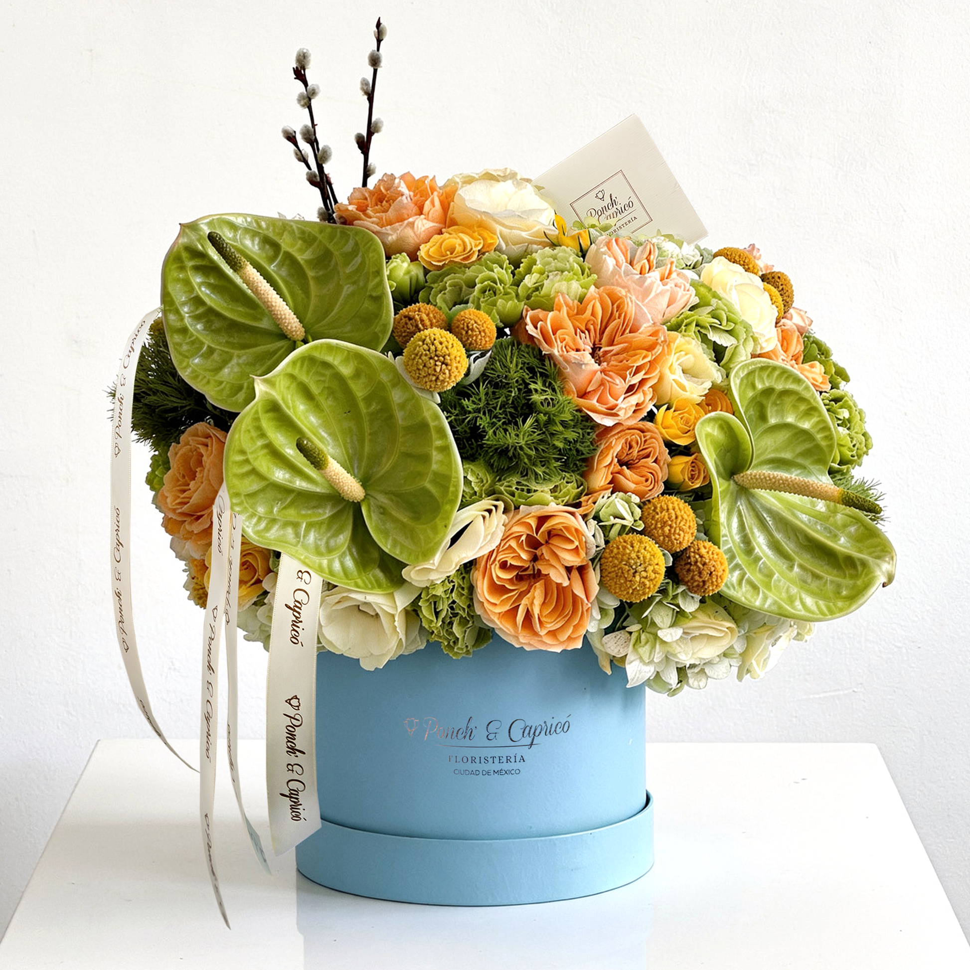 Arreglo floral de anturios verdes y rosas inglesas melón en caja azul de lujo | Ponch' & Capricó Floristería CDMX