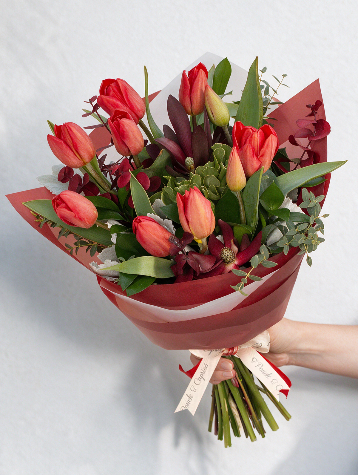 Ramo de Tulipanes Rojos, Safari y Dólar Rojo (Preservado) -PRAM055-