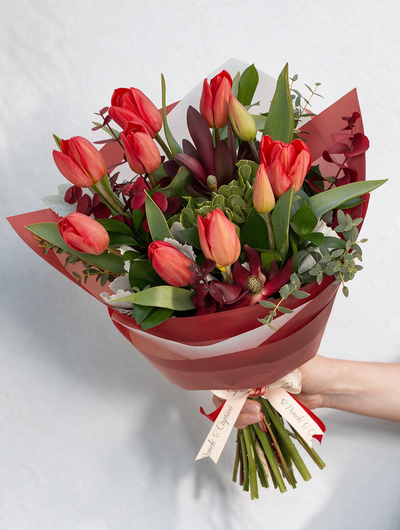 Ramo de Tulipanes Rojos, Safari y Dólar Rojo (Preservado) -PRAM055-