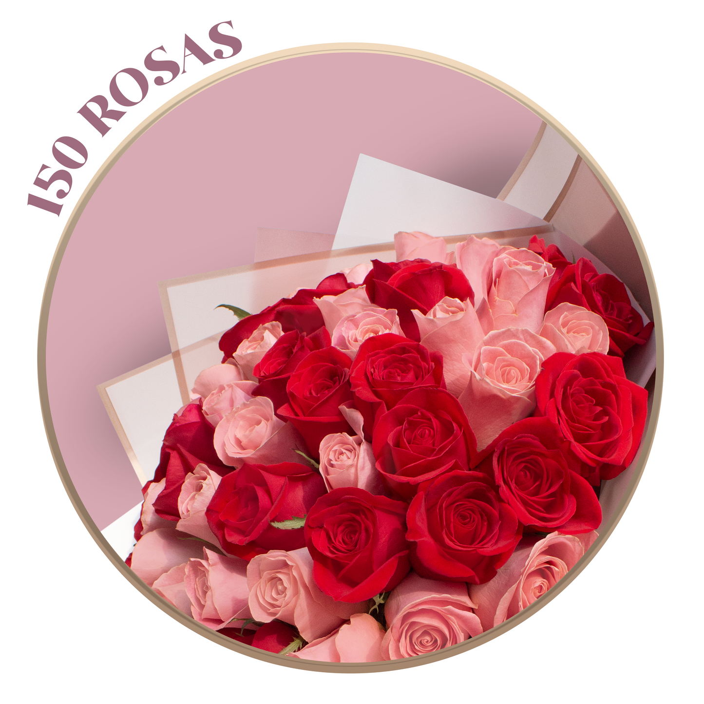 Ramo de Rosas Rosa (Hermosa) y Rojas, presentación de 50, 100 o 150 rosas