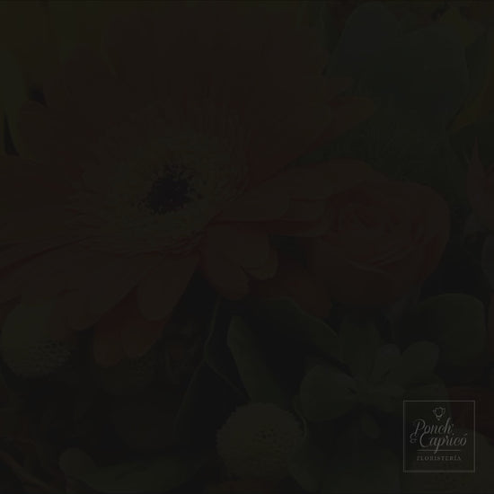 Video del ramo de gerberas y girasoles — componente del set
