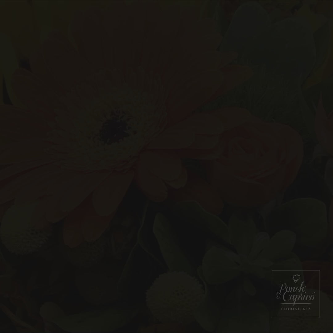 Video del ramo de gerberas y girasoles — componente del set