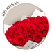 100 Rosas Rojas en ramillete con papel blanco Ponch y Caprico a domicilio CDMX