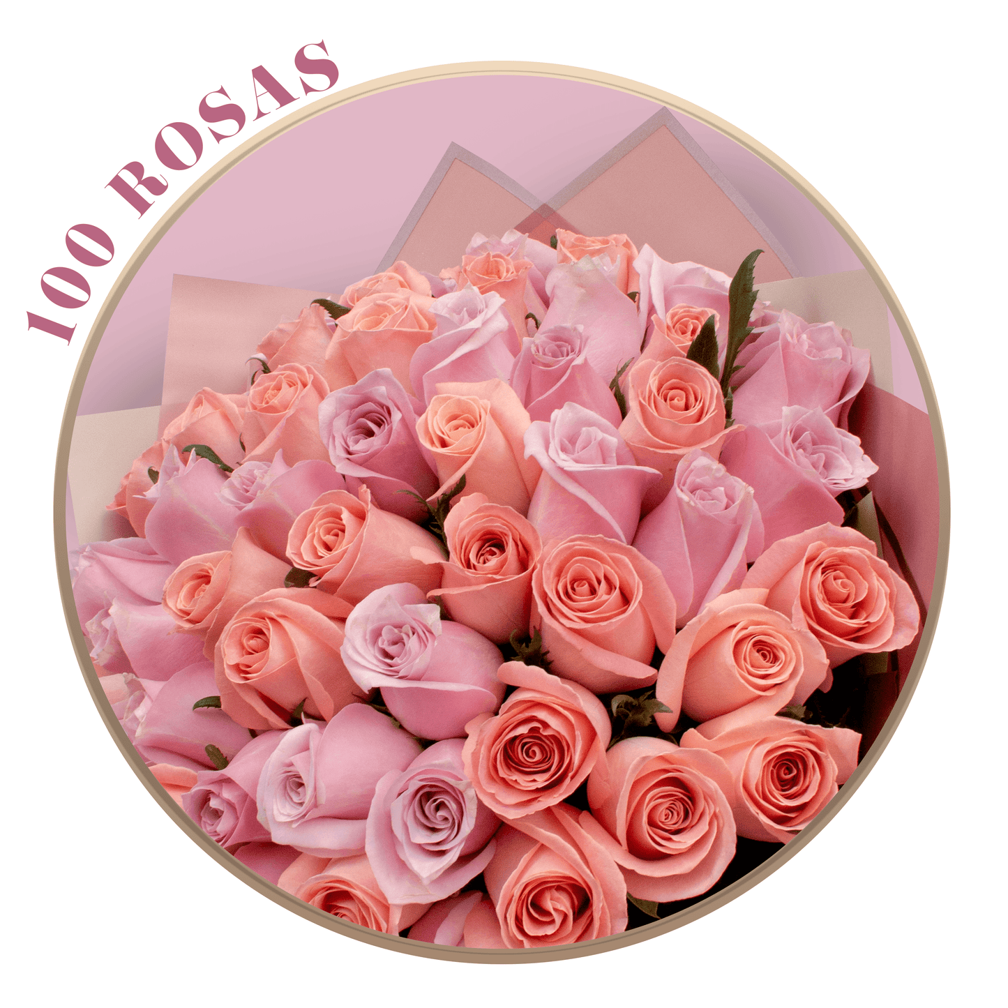 Ramo de Rosas Lila y Rosa (Náuticas y Hermosas), presentación de 50, 100 o 150 rosas