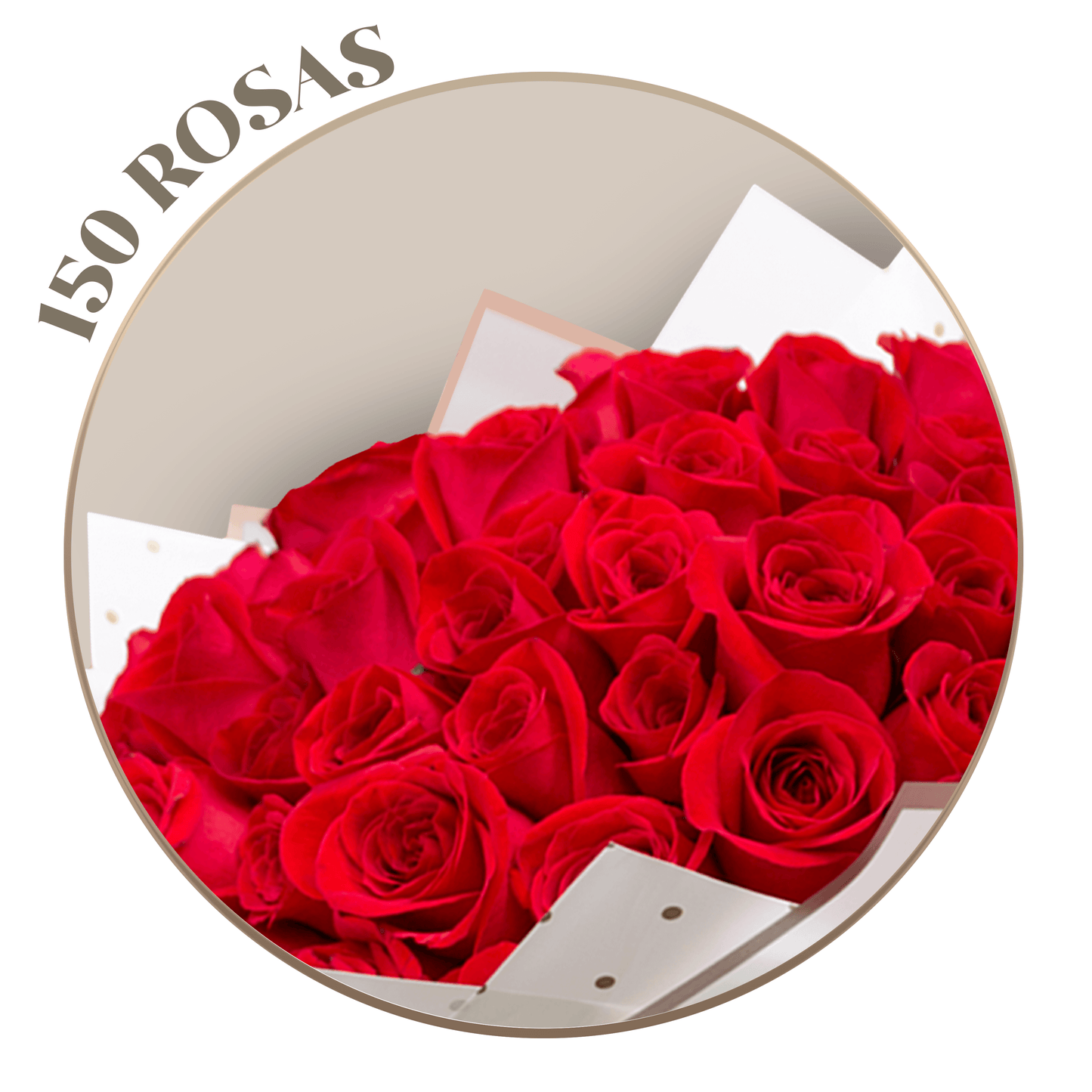 150 Rosas Rojas en ramillete con papel blanco Ponch y Caprico a domicilio CDMX