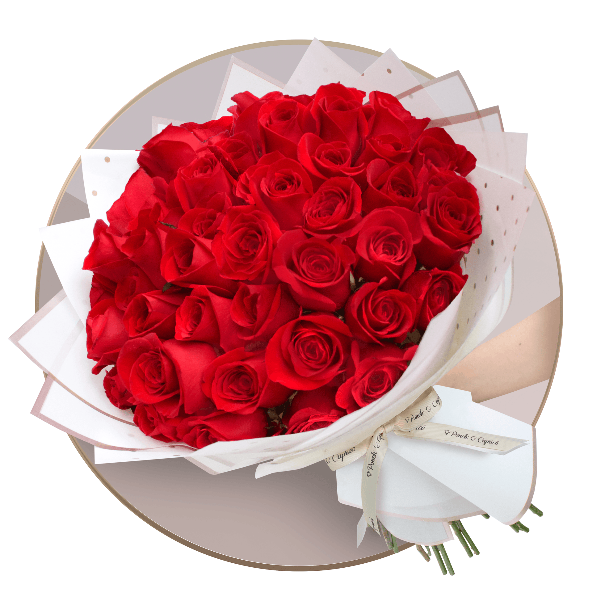50, 100 o 150 Rosas Rojas en ramillete con papel blanco