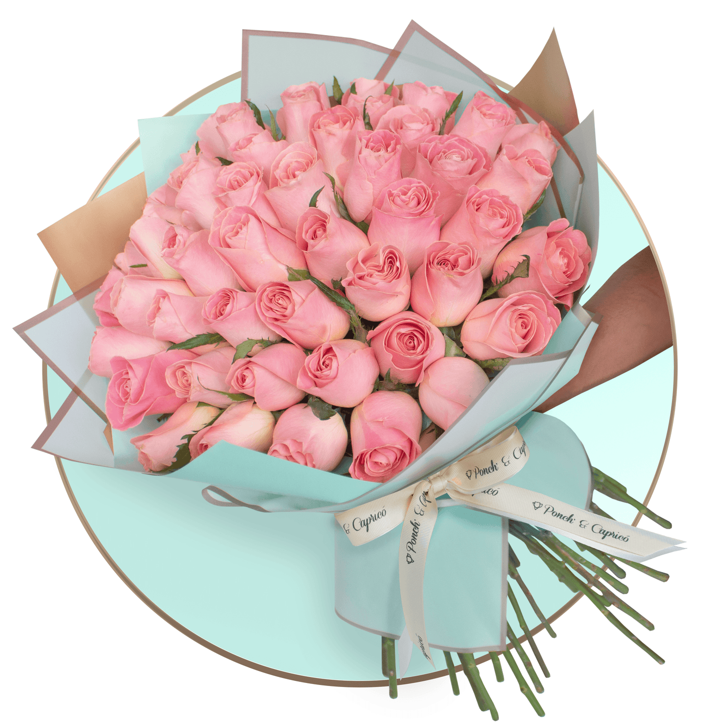 50 Rosas Rosadas en Ramillete + Orbz Happy Birthday -SET048-