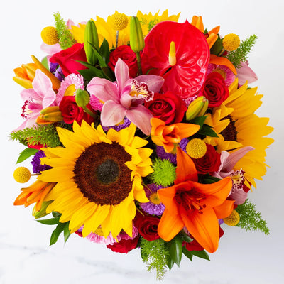 Domo Mix de Rosas Rojas, Orquídeas Rosadas, Girasoles y Lillies Naranja
