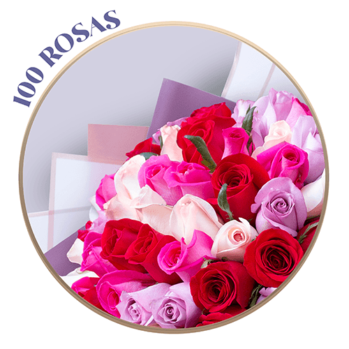 Ramo de Rosas Moradas (Lila), Rosa Pálido, Magenta y Rojas, presentación de 50, 100 o 150 Rosas